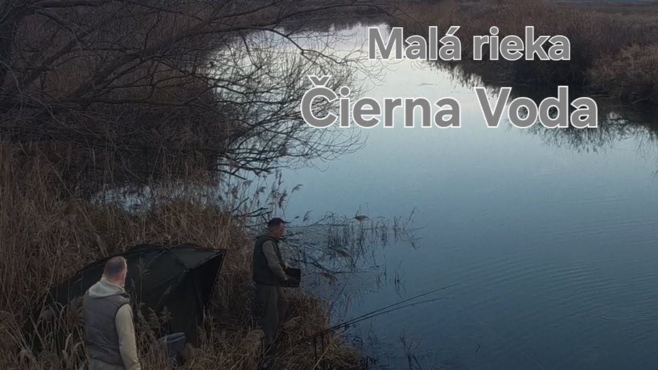 Malá Rieka Čierna Voda/ Lov kapra/ Carp fishing/ River carp/ River fishing / Big carp / Big lake