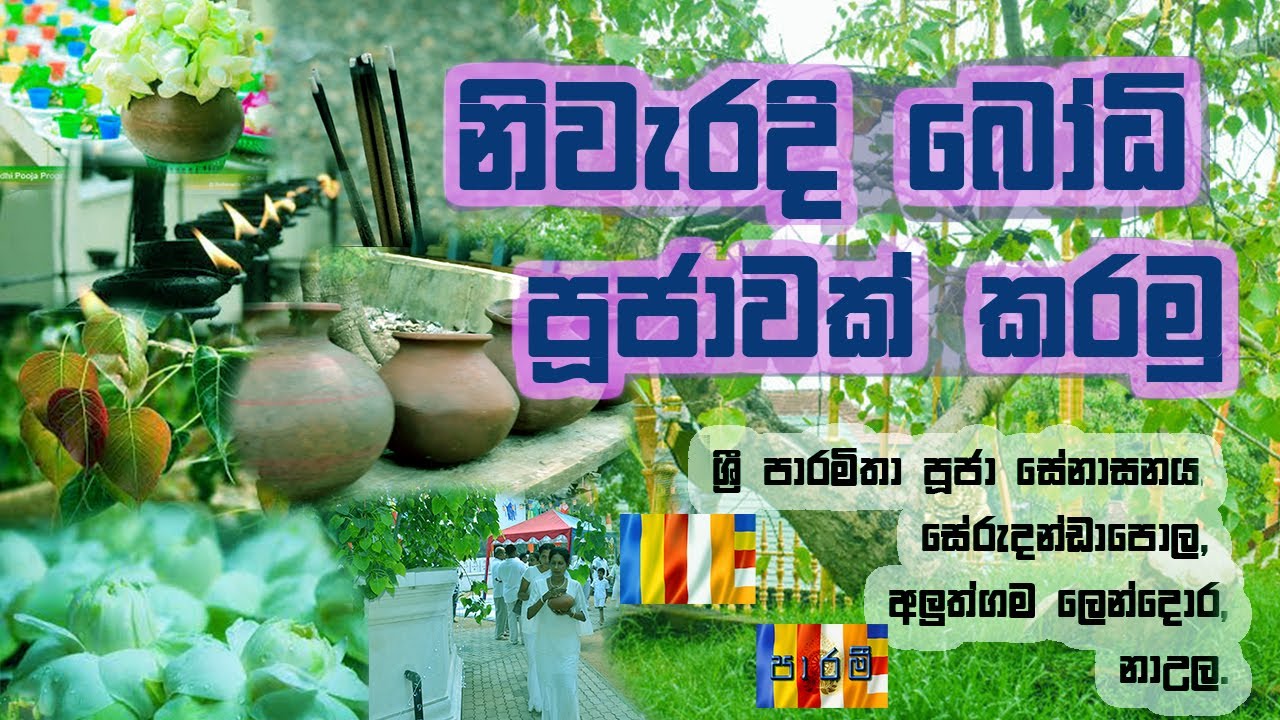 නිවැරදිව බෝධි පූජාවක් පවත්වන අකාරය  How to perform a Bodhi Pooja correctly