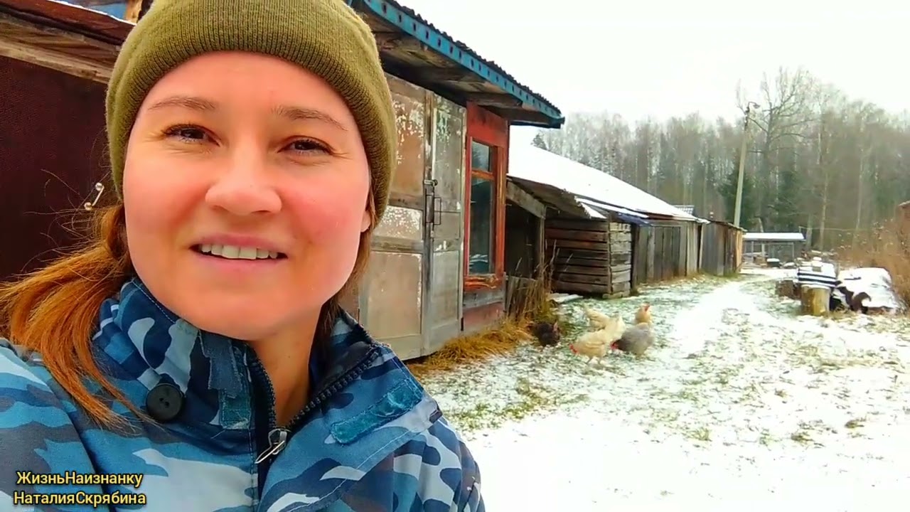 ПРОЧИСТКА ПЕЧНЫХ КАНАЛОВ. ДОМАШНЯЯ ВЫПЕЧКА. НОЧНОЙ ГОСТЬ.ОБУСТРОЙСТВО КУХНИ. ДЕКАБРЬ 2025.
