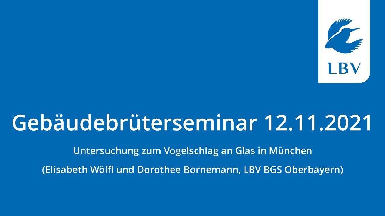 Untersuchung zum Vogelschlag an Glas in München (Elisabeth Wölfl und Dorothee Bornemann)