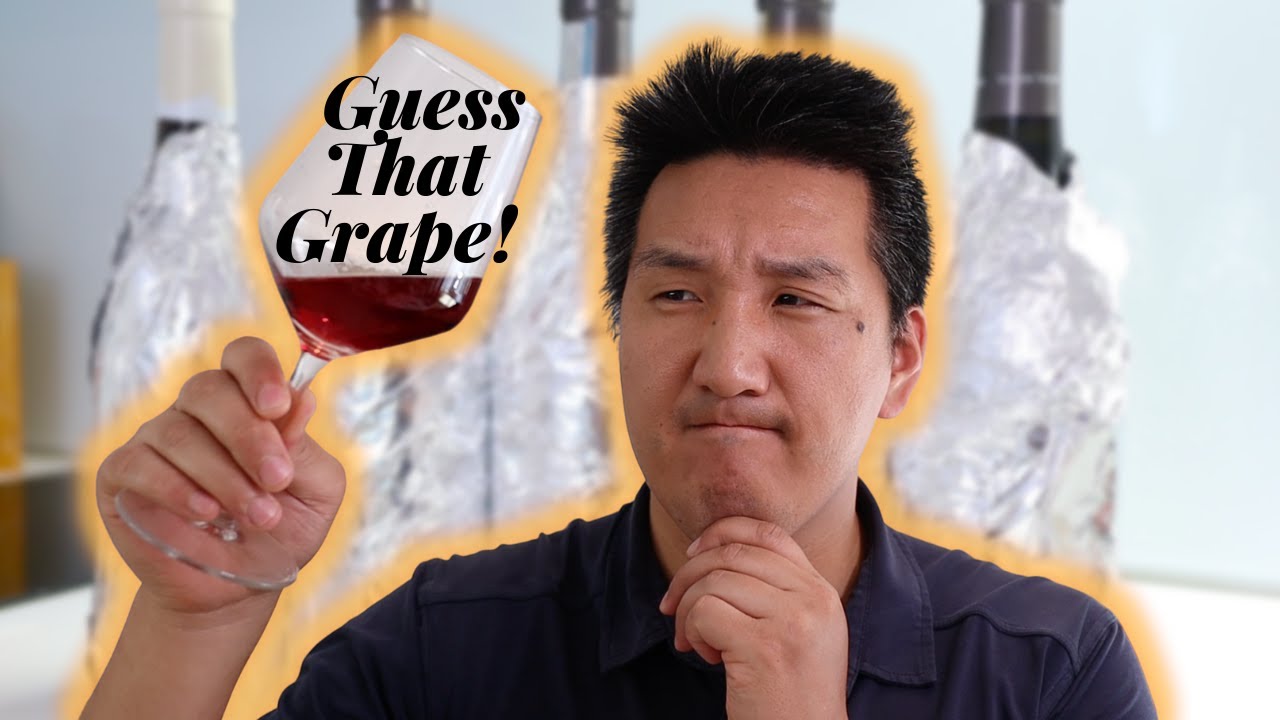 BLIND TASTING Italian RED Wine & Guessing The Grape