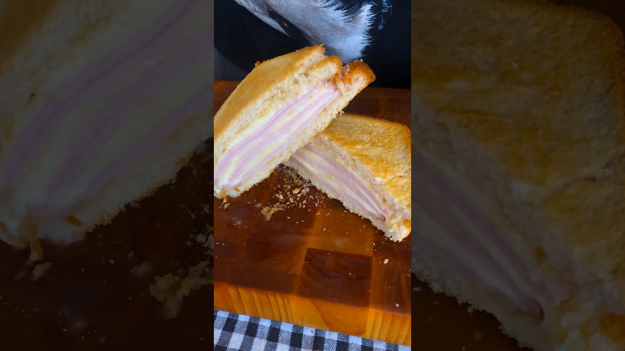 Ham Cheese Sandwich 🍖🧀
