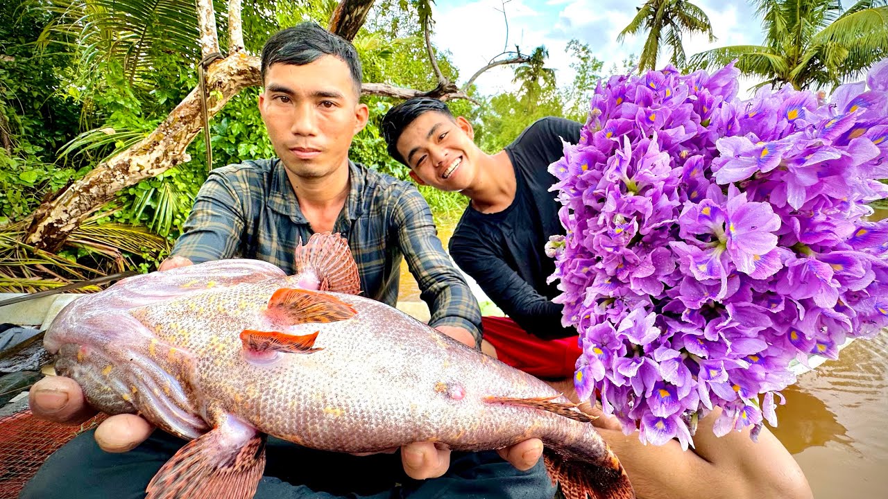 Lẩu Mắm Cá Bóng Tượng Hoa Lục Bình Tím