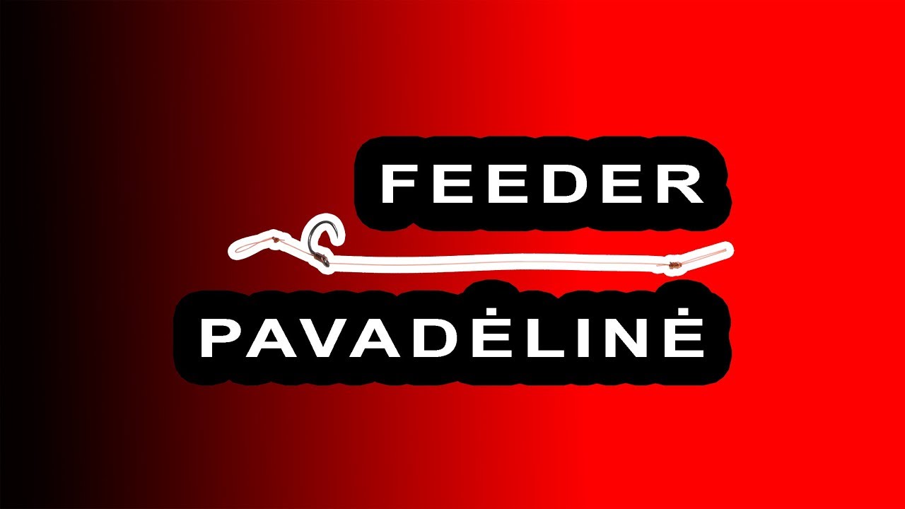 Kaip pasirinkti PAVADĖLINĘ žvejybai FEEDER'iu?