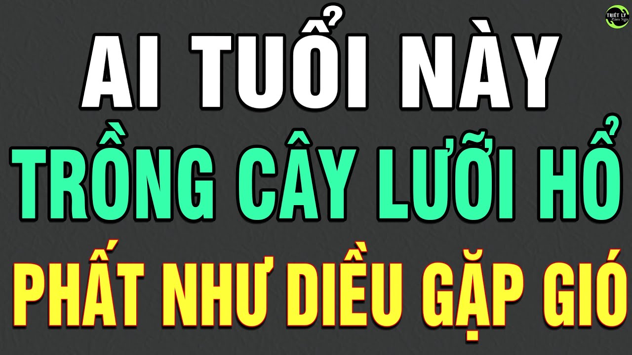 Tuổi Này Trồng Cây Lưỡi Hổ TIỀN VÀNG CHẬT KÉT Gia Chủ Phất Lên Như Diều Gặp gió CON CHÁU HƯỞNG LỘC