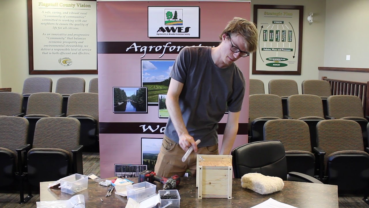 How to build a bumble bee house