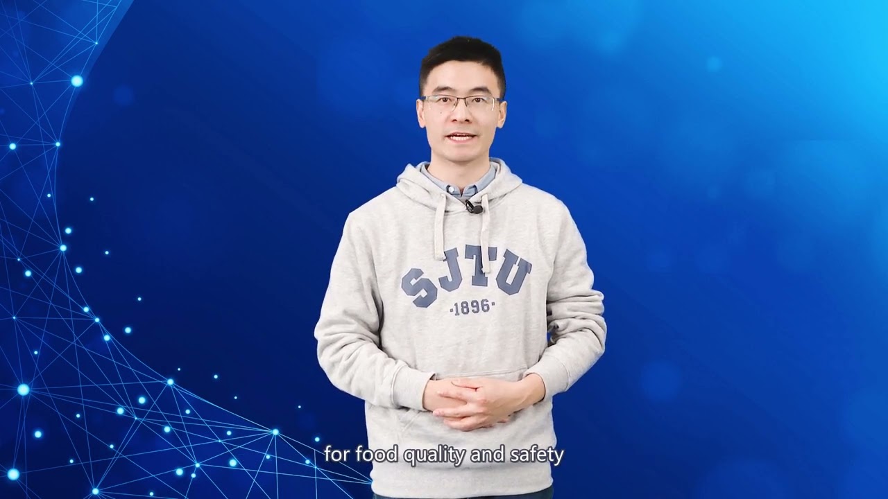 Food Quality and Safety Detection Technology