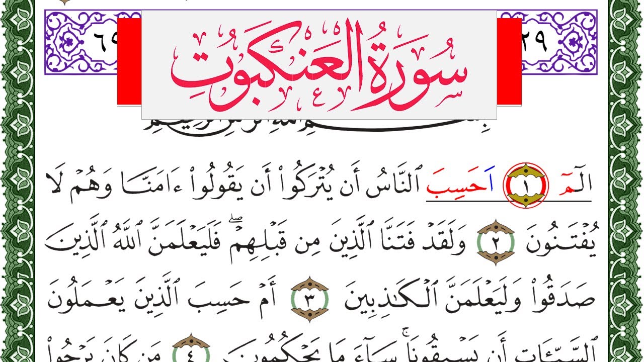 سورة العنكبوت مكتوبة محمد عبد الكريم Surah Al Ankabot  برواية ورش عن نافع من طريق الاصبهاني