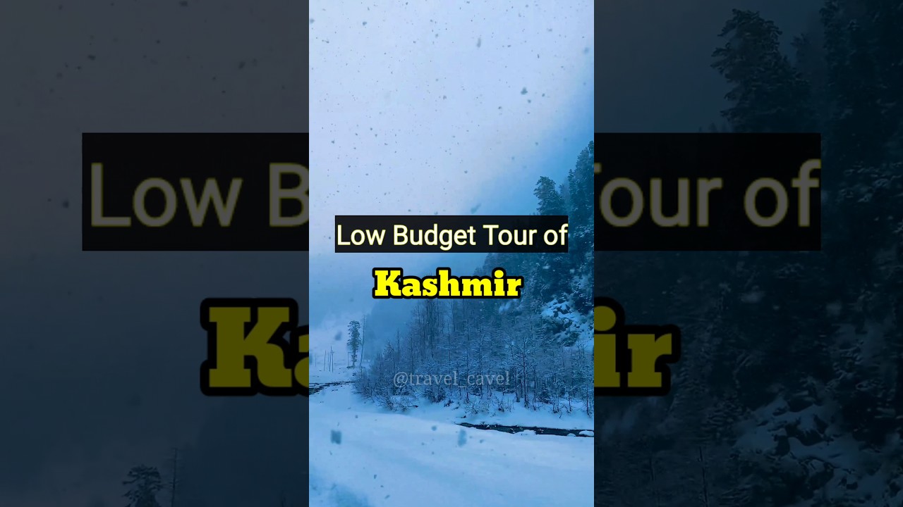Kashmir low budget tour #shortsvideo #shortvideo #viral #short #shorts #kashmir #travel #lowbudget