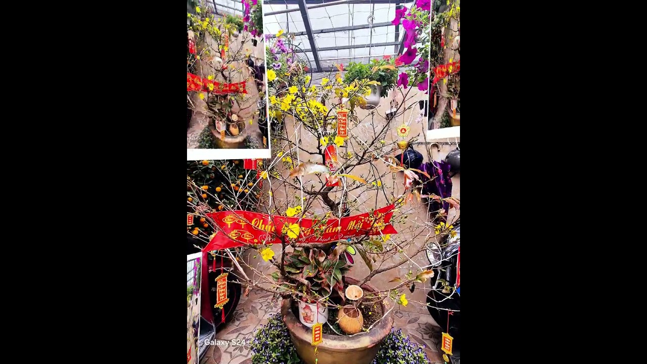 Xuân về Trần Xá Hội Vui