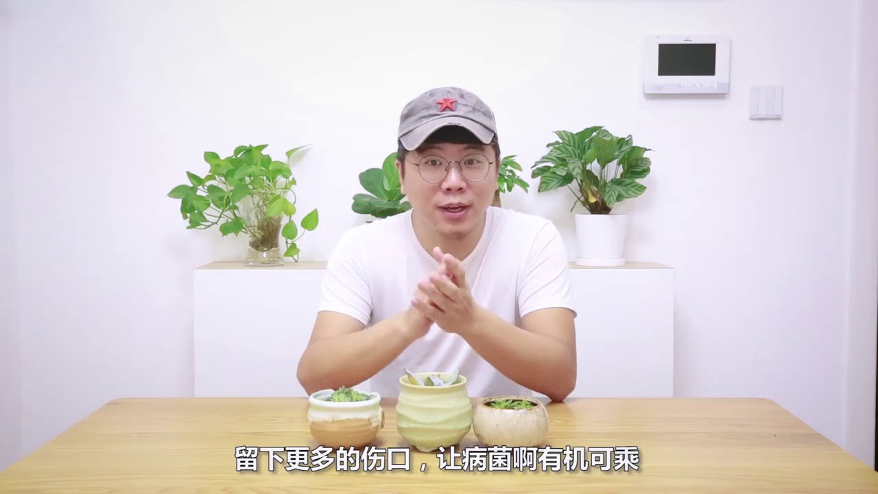 多肉服盆期葉片干癟，從這兩點找原因