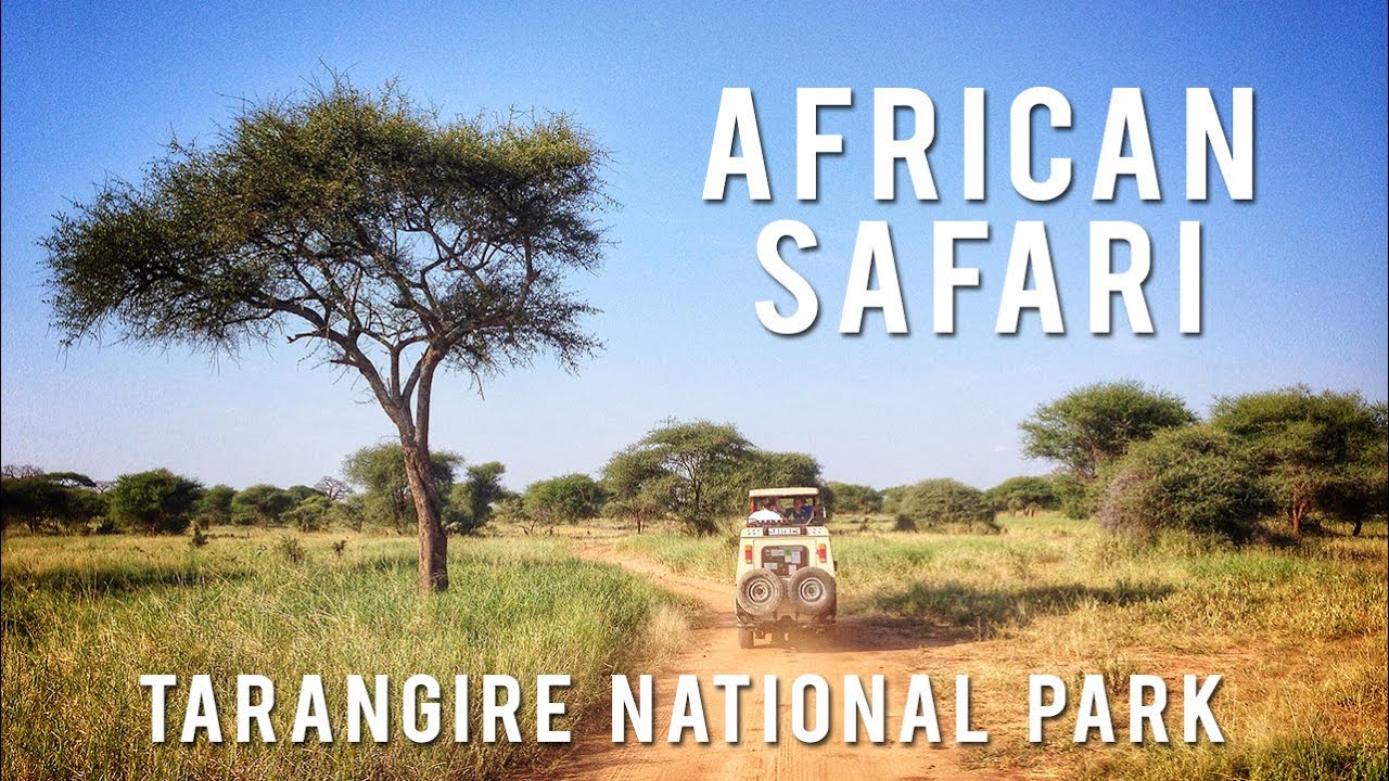 African Safari - Tarangire National Park, Tanzania