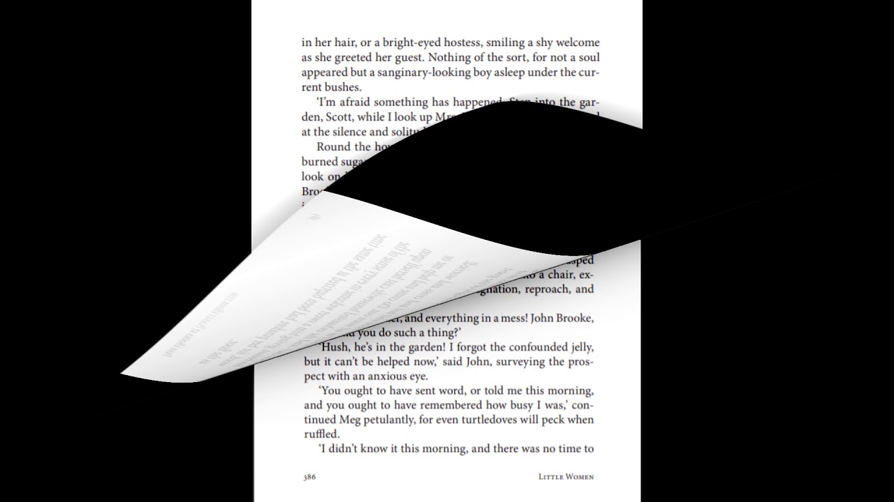 Little Women Chapter 28