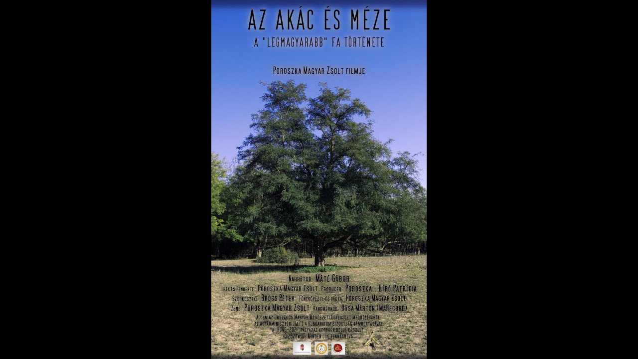 Az akác és méze - A 