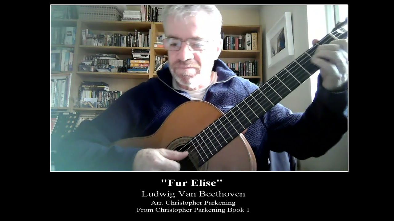 Fur Elise - Del's Journey Through Noad Continues...