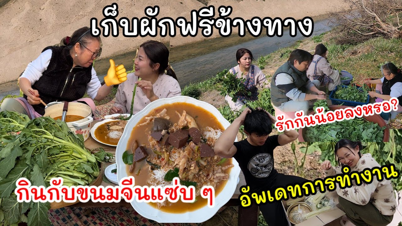 EP.950 เก็บผักฟรีข้างทางแสนอร่อยและเยอะมาก กินกับขนมจีนสุดยอดมาก อัพเดทการทำงานของน้องๆ