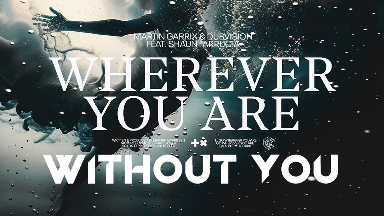 Martin Garrix & DubVision - Wherever You Are vs Avicii - Without You (Quantik Mashup)