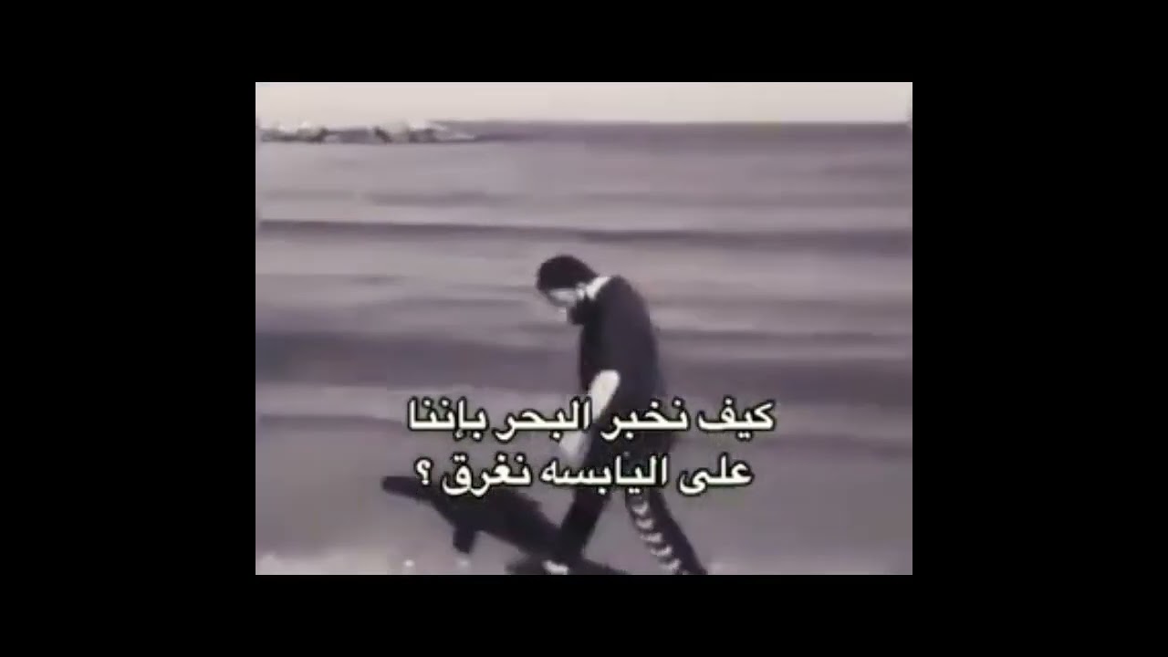 ذبات الفراشات ذبات حزينه  ذبات اقتباسات