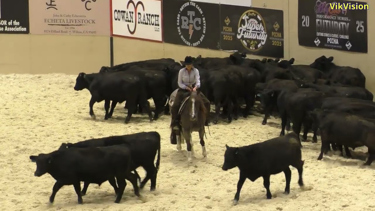 Cutting Horses Set 2 at South Point Arena - 2025-09-24