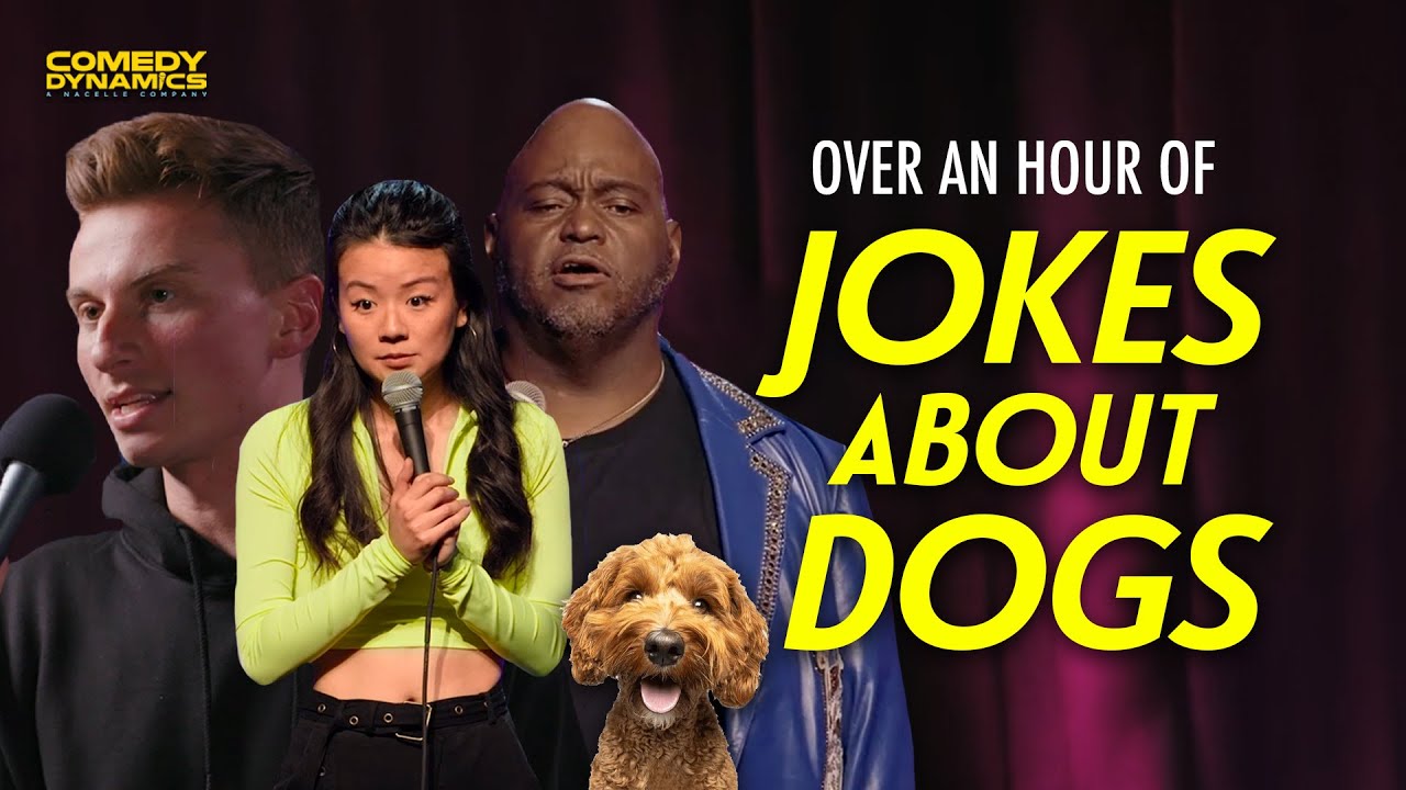 An Hour of Jokes About Dogs - Stand-Up Comedy