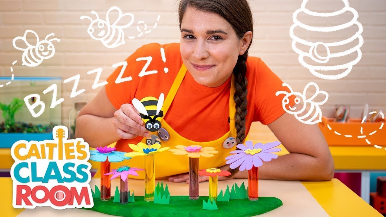 Caitie's Classroom Live - Bees!