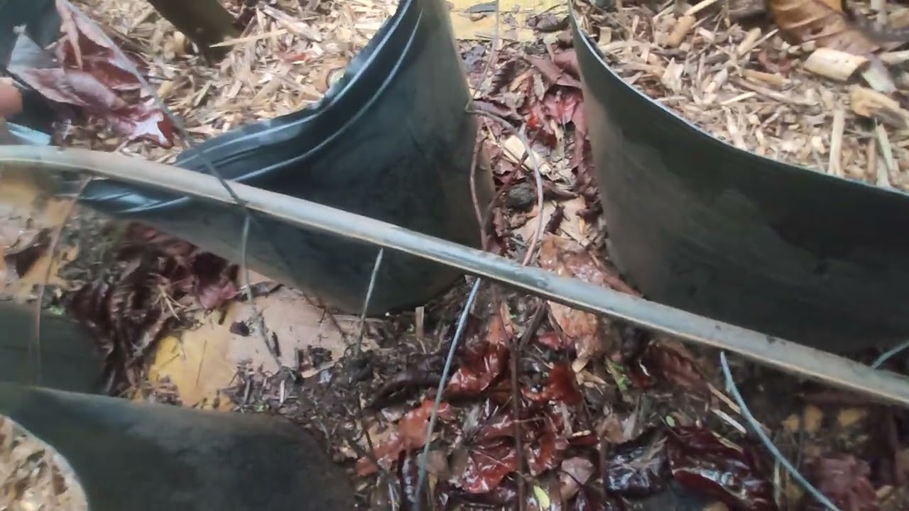 Tubo espaguete, uma das melhores opções de irrigação para plantas em vasos