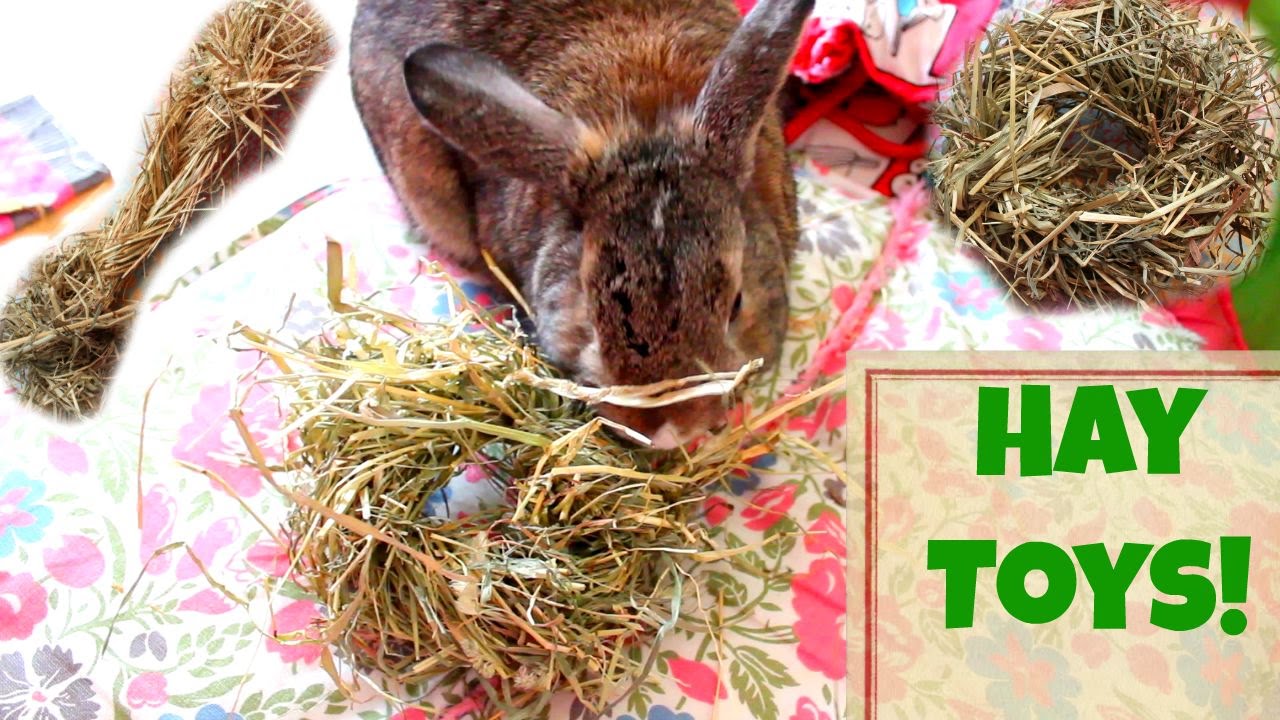 DIY hay toys made out of hay ONLY