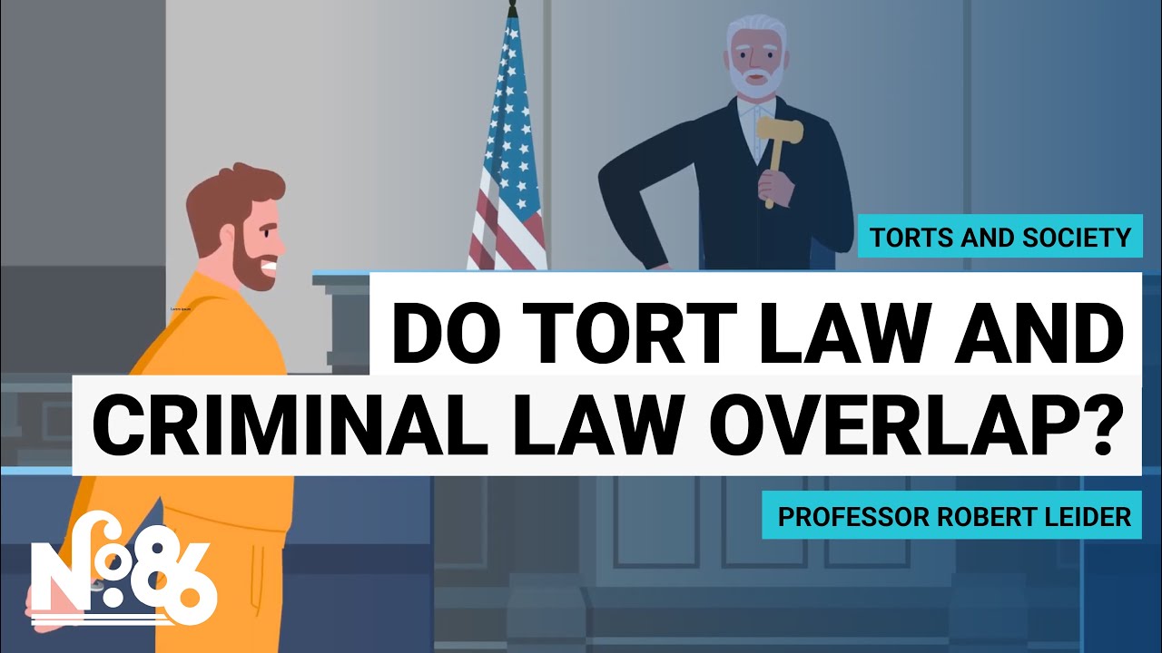 Do Tort Law and Criminal Law Overlap?