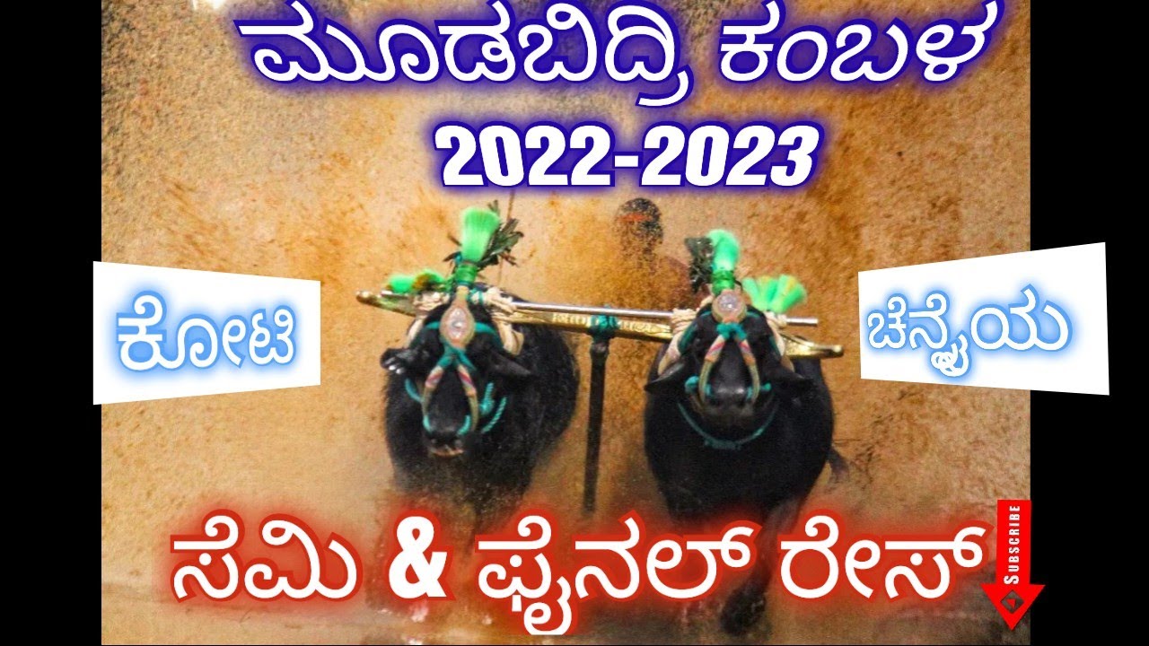 moodbidri kambala semi and final| ಮೂಡಬಿದ್ರಿ ಸೆಮಿ ಫೈನಲ್ and ಫೈನಲ್ ರೇಸ್||