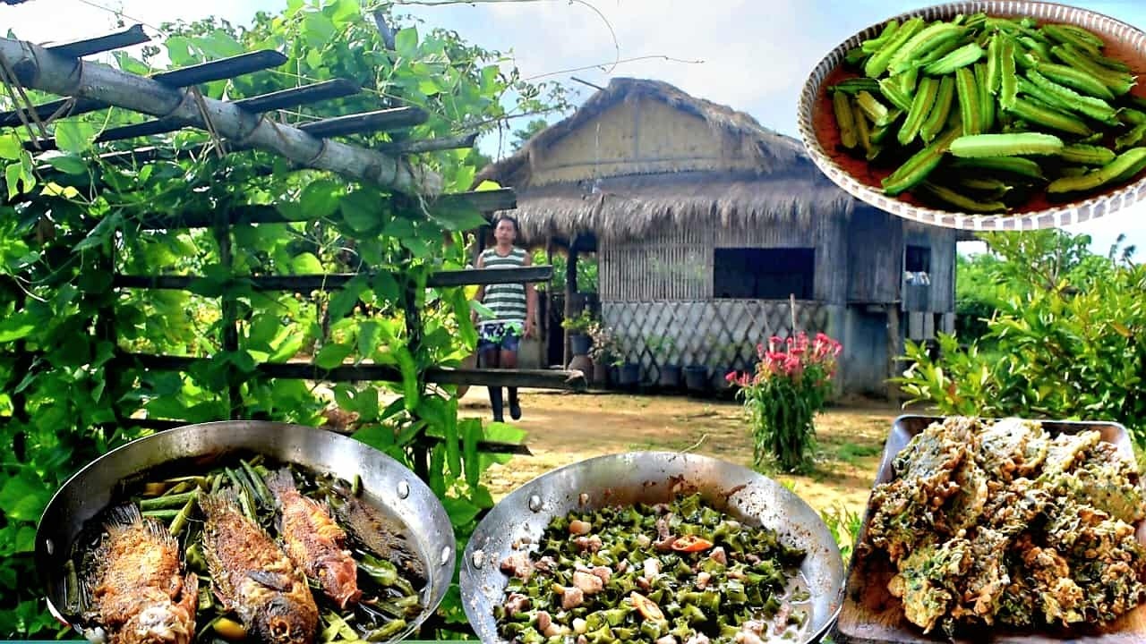 Countryside Life: Lots of sigarilyas in the backyard | Harvest, cook and eat | Biag ti away