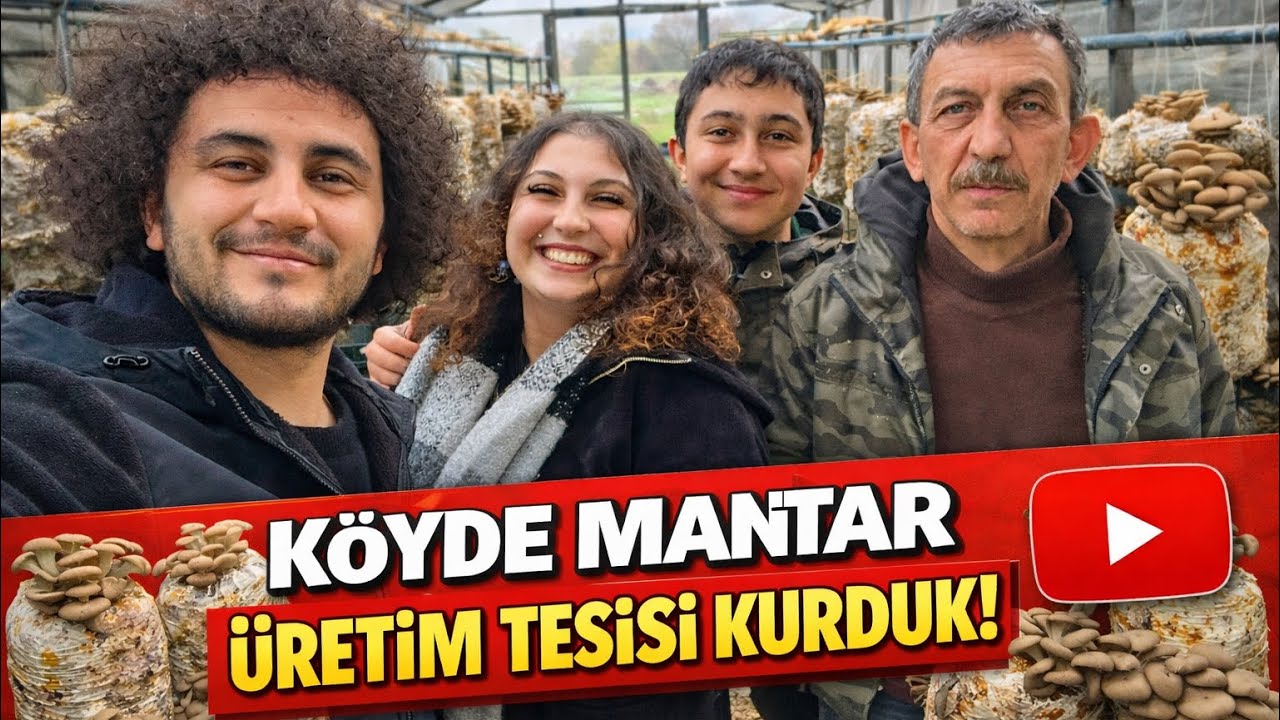 K&Ouml;YDE MANTAR &Uuml;RETİM TESİSİ KURDUK ‐ İSTİRİDYE MANTAR &Uuml;RETİMİ HAKKINDA HER ŞEY
