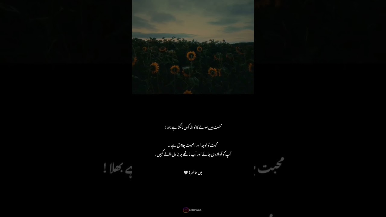 #novels