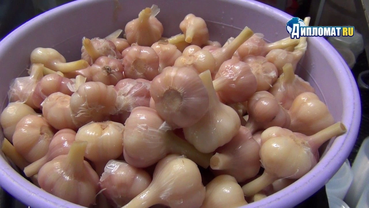 Фабрика домашних солений