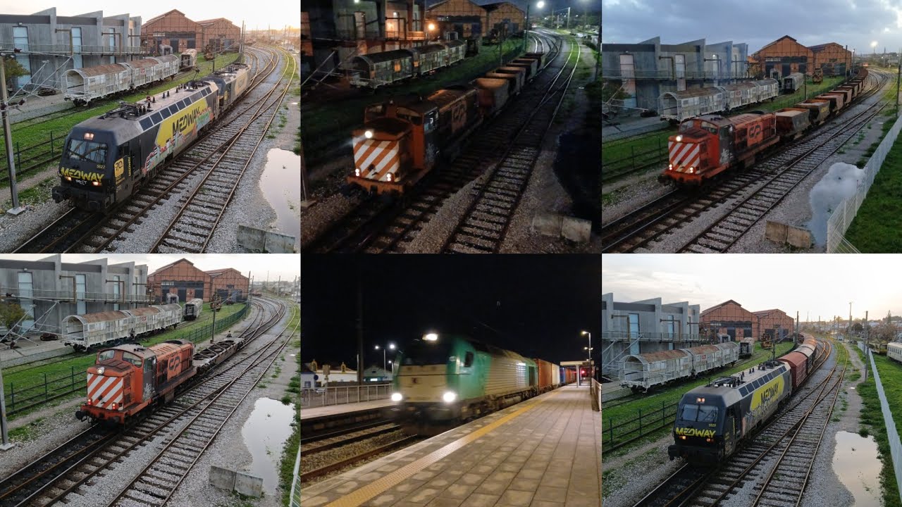 Comboios no Entroncamento e 5019 nos Riachos - 29/1/2026