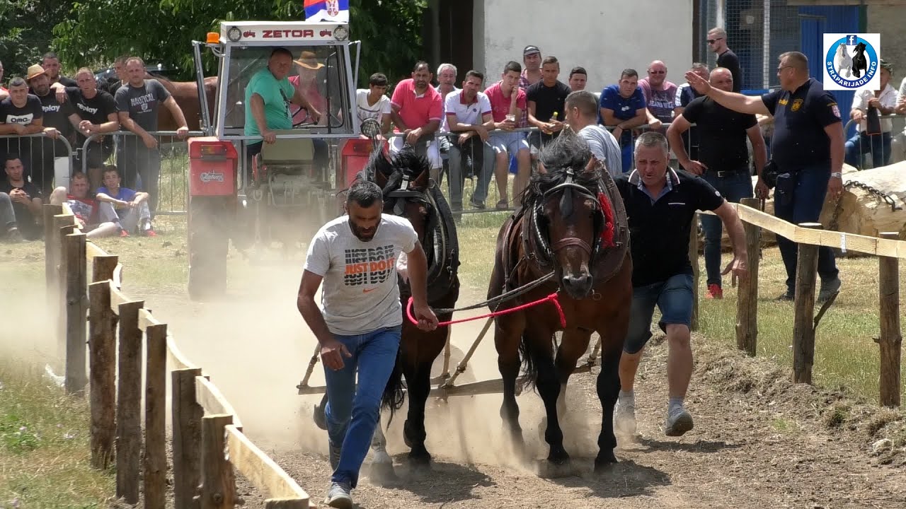 Braća SIMIĆ iz Popučaka šampioni RUME u lakim parovima