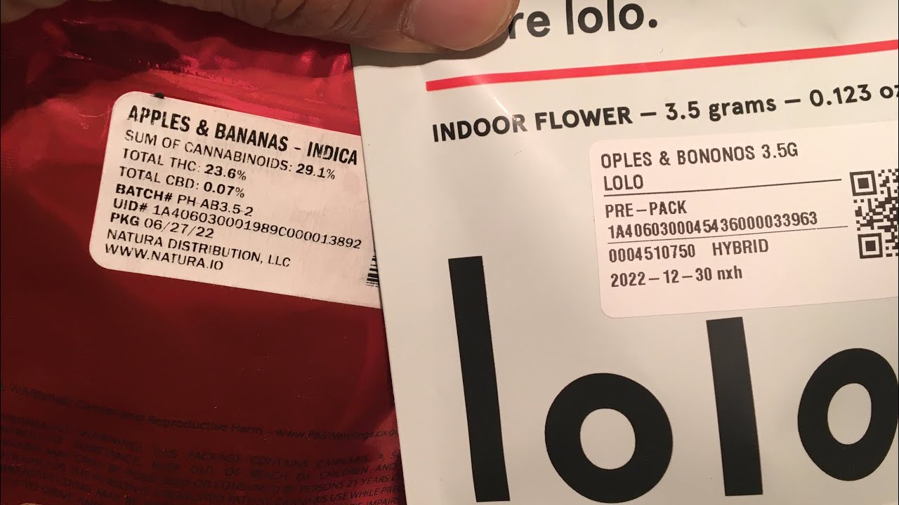 Papa&rsquo;s herb apples n bananas vs lolo oples n bononos