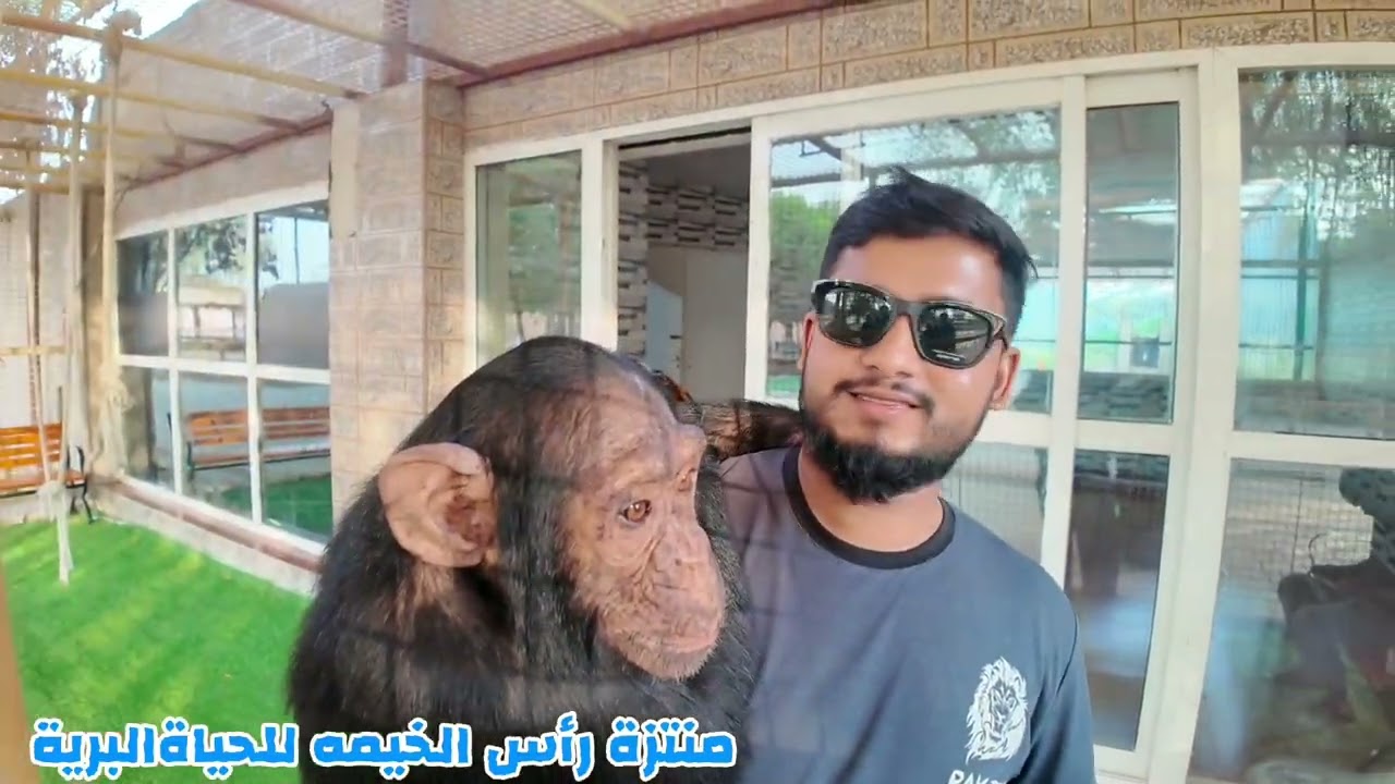 منتزة رأس الخيمه للحياةالبرية 12/11/2025