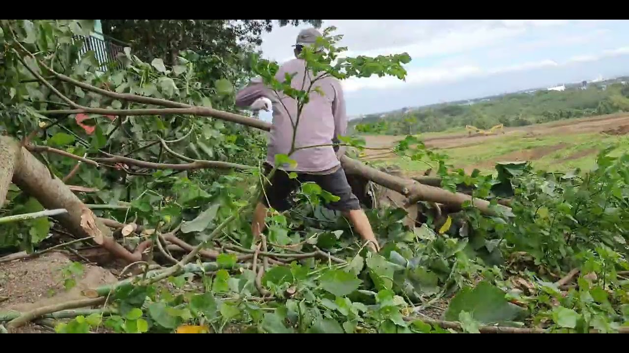 Masarap Magsibak Pag Malakas ang Hangin #ljabezzkatagayvlog