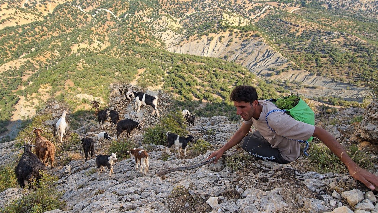 🔥 Dangerous Cave Dweller Survival Challenge 😱 | Searching for Lost Livestock in the Mountains 🐑⛰️