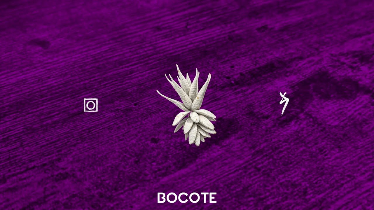 JamesWest, Sanxieti - Bocote