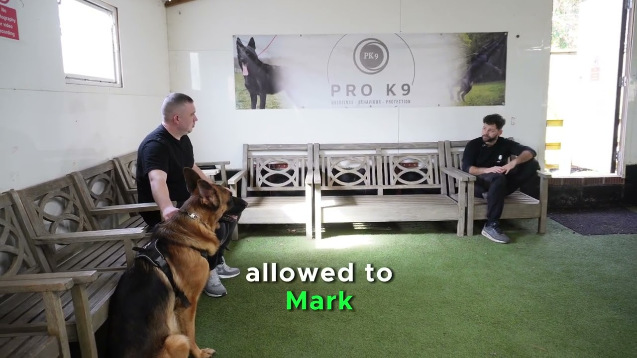 Reactive GSD Fixed