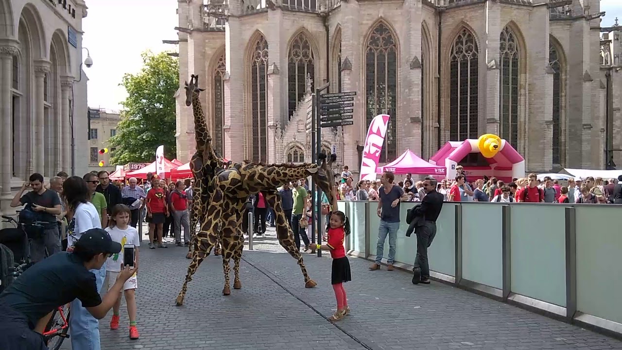 Girl caressing a giraffe walking in the centre of Louvain