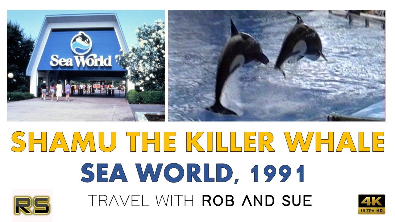 SHAMU THE KILLER WHALE | SEA WORLD ORLANDO 1991