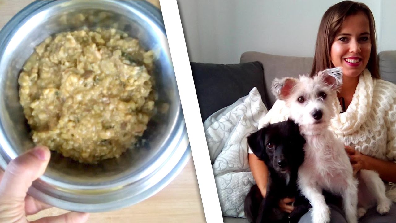 COMIDA CASEIRA VEGANA PARA CÃES