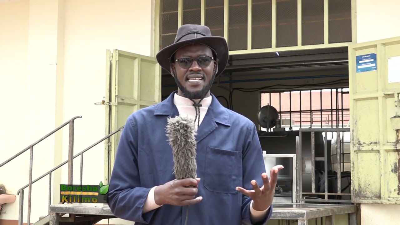 Mbinu bora za ufugaji, usindikaji wa maziwa, na usimamizi wa afya ya mifugo || BORESHA KILIMO