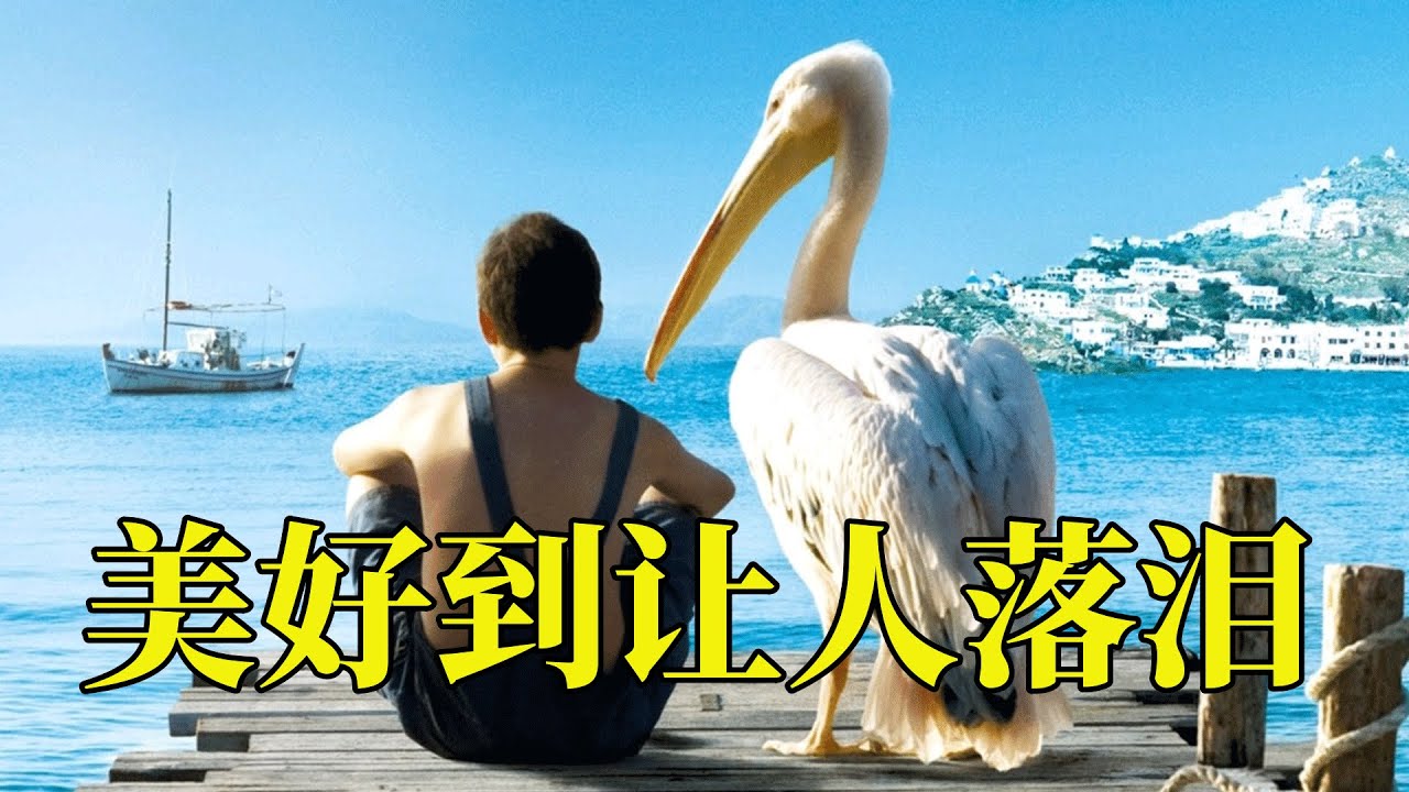 母亲遗物换一只丑鸟，不等价交换却带来快乐和陪伴，但意外也接踵而至，18分钟看完2011年真实事件改编电影《男孩与鹈鹕》