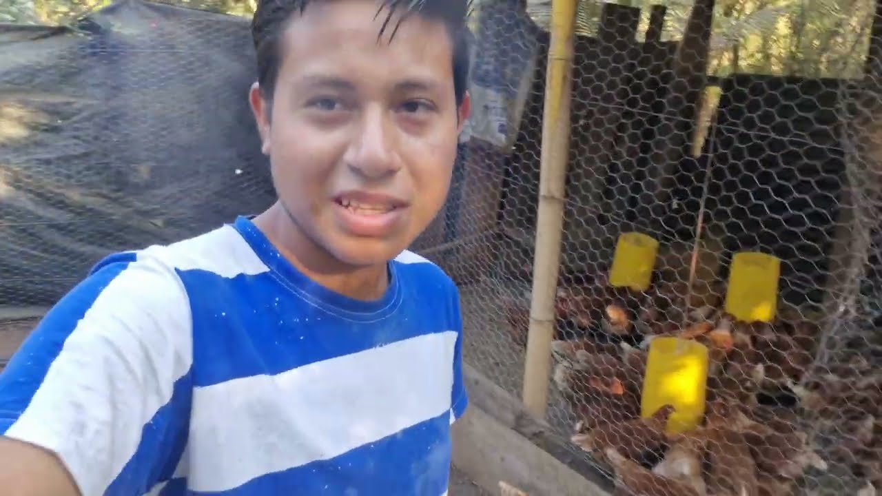 Lo saqué de la Granja por que golpea las Gallinas 😡