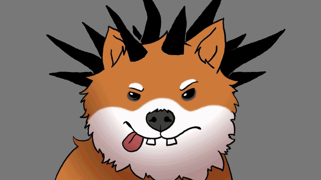 Dawg смотрит 