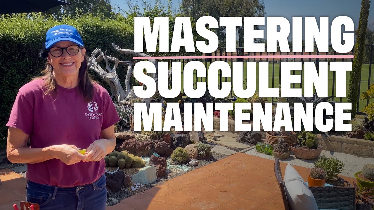 Walkabout Wednesday | New Succulent Maintenance Workshop!