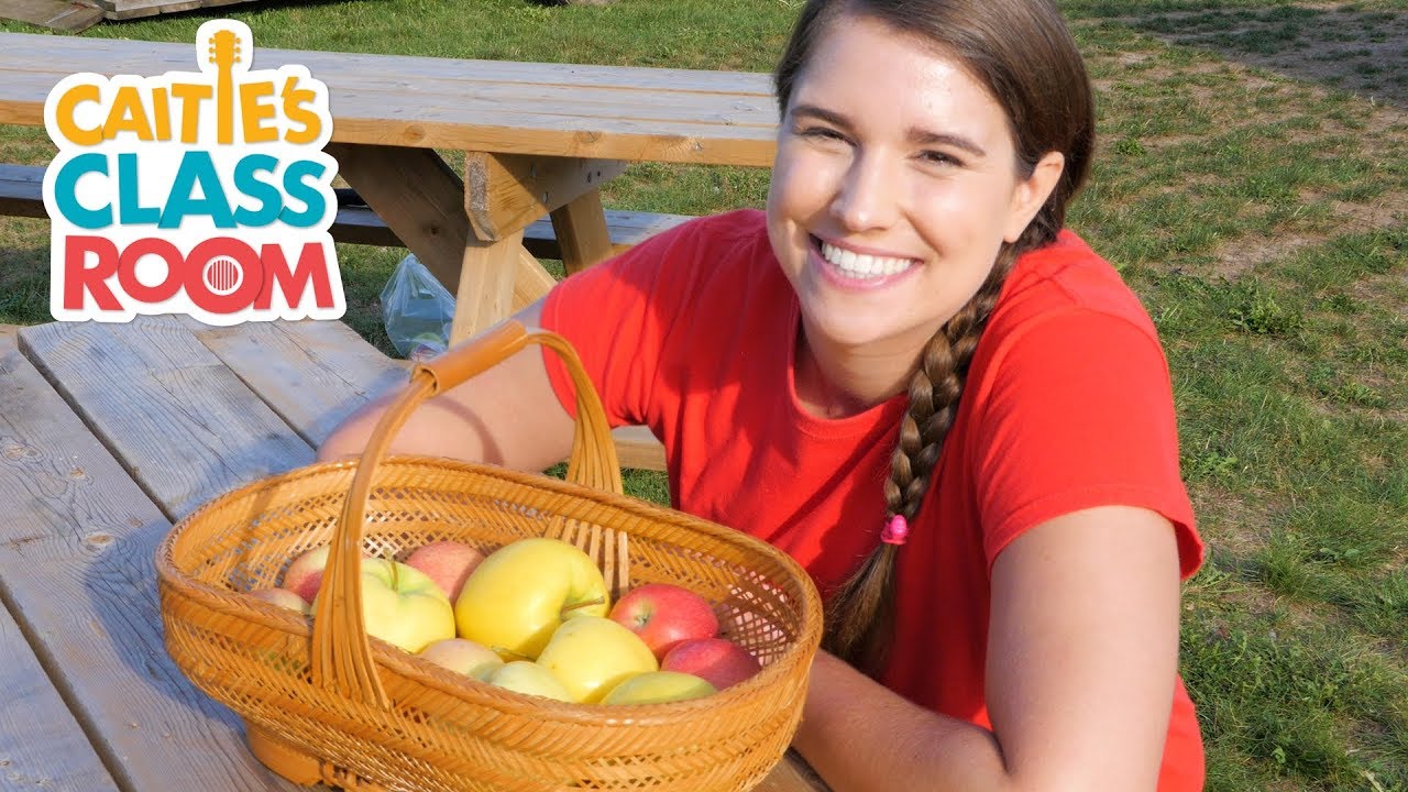 Let's Go To An Apple Orchard | Caitie's Classroom Field Trips | Food Videos for Kids